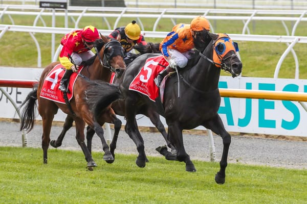 New Zealand 2000 Guineas winner retired