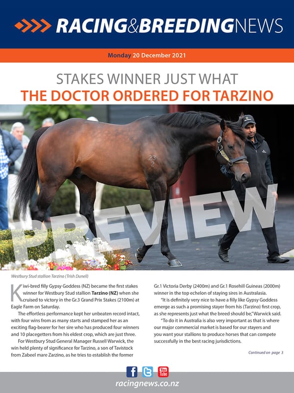 NZ Racing and Breeding News – 20 December 2021