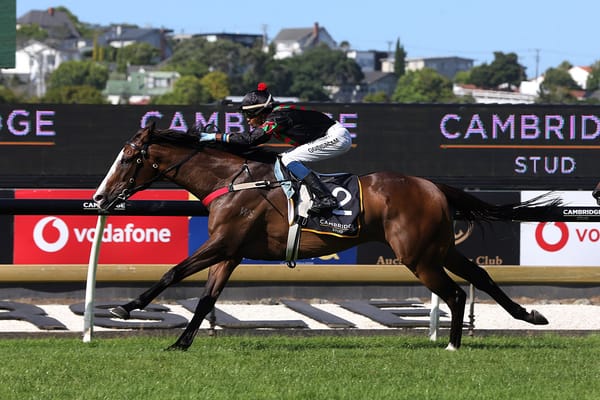 Tiptronic thriving ahead of Herbie Dyke