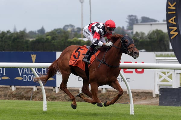 Wewillrock ready for Randwick challenge