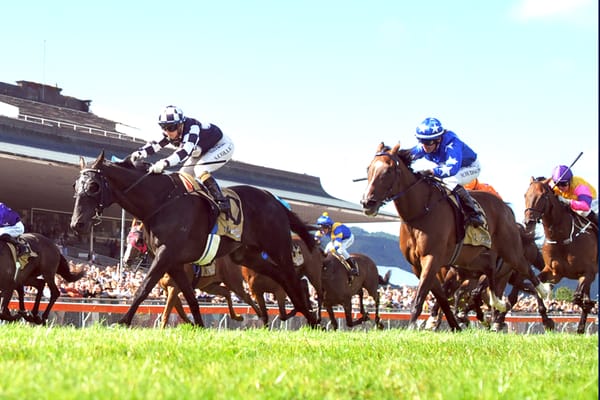 Bluey’s Chance heads to synthetic track for final Winter Cup lead-up