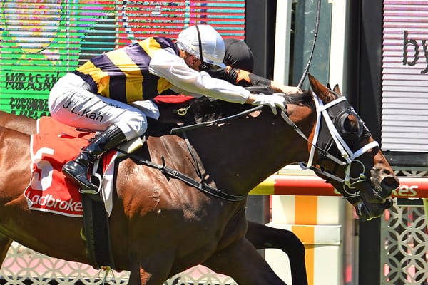 Junior sets sights on Sydney Cup