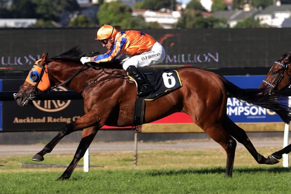 Te Akau’s youthful juggernaut rolls on to Sistema