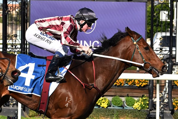 Clarken plots next steps