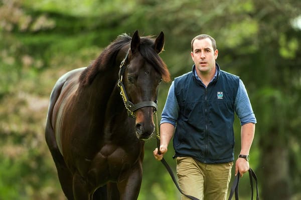 Rich Hill on a roll heading into Karaka 2022