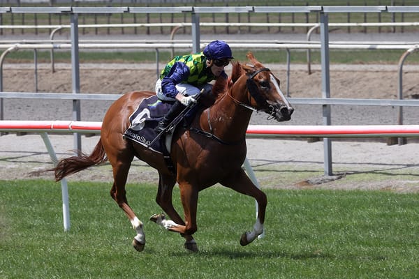 Alabama Gold too speedy in Matamata feature