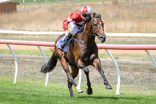 Bellman shines in Aus debut