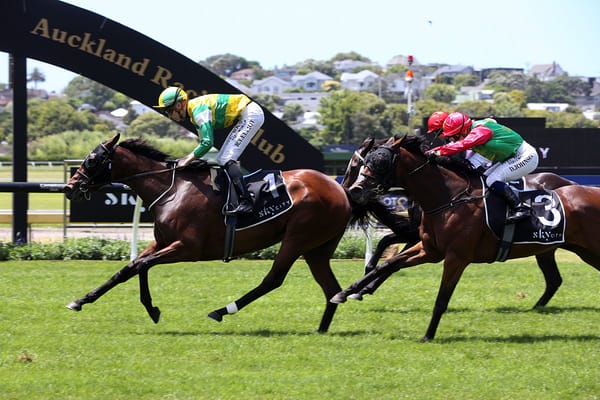 Weighty Cup bid best option for Group One mare