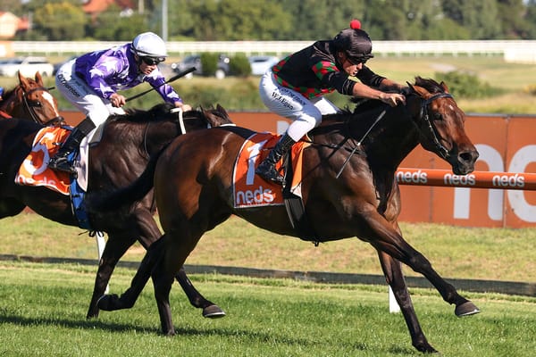 Hastings focus for well-performed stablemates