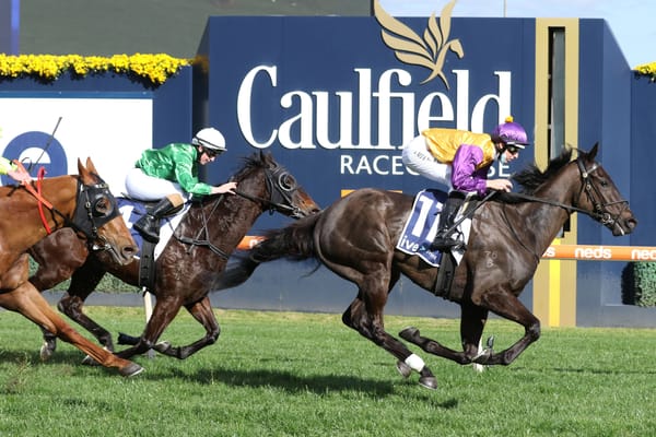 Elephant to kick off new campaign in Melbourne