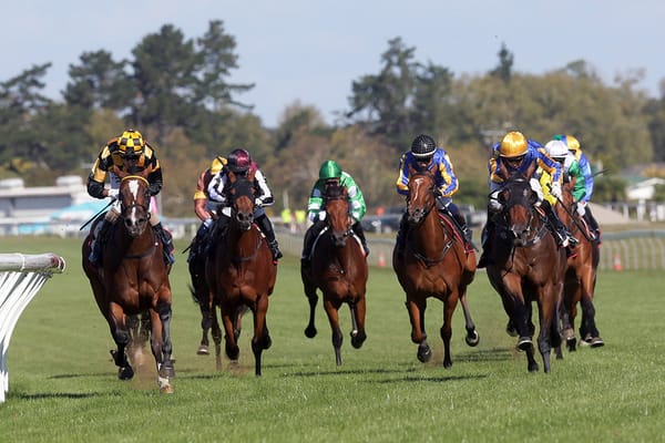 Oaks Prelude transferred to Pukekohe