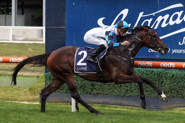 Kiwi mare in top order for Flemington