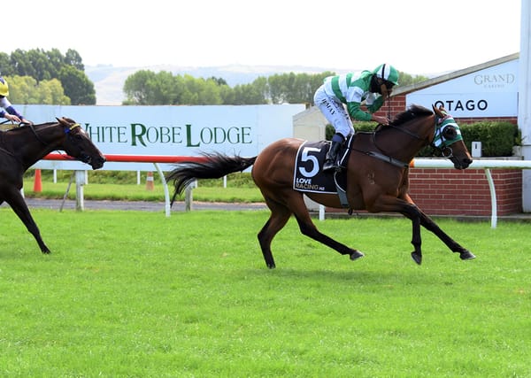 Deserved Dunedin Gold Cup win for Kilowatt