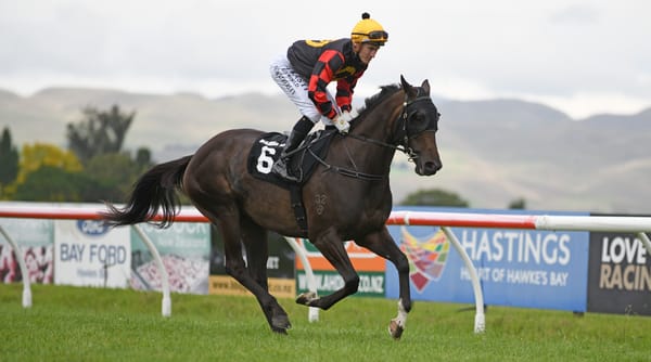 A Love Letter to Hastings