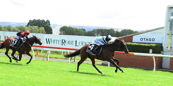 Palmetto strides to Dunedin Guineas victory