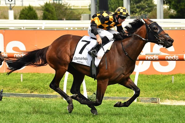 Star mare Probabeel retired