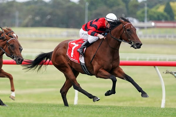 Kiwis flying midweek in Australia