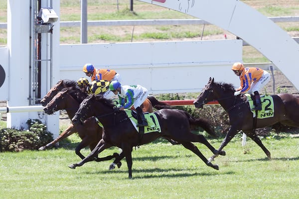 Sword Of State peaking to ascend Ellerslie throne