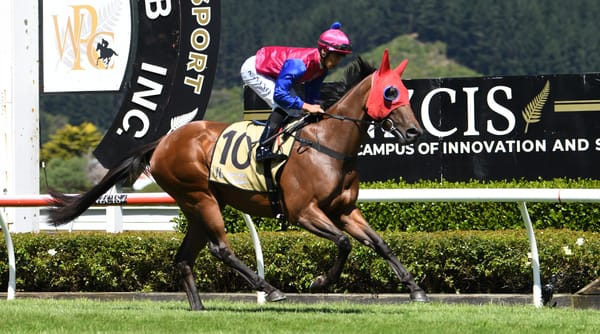 Time to shine for Bambry filly