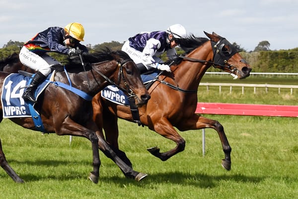 Victorem seeking stakes spoils
