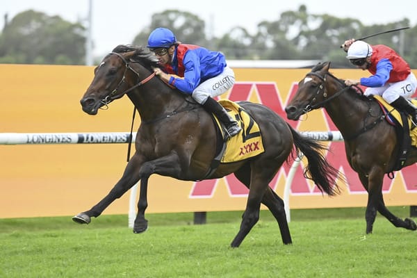 Last race Bjorn does it again