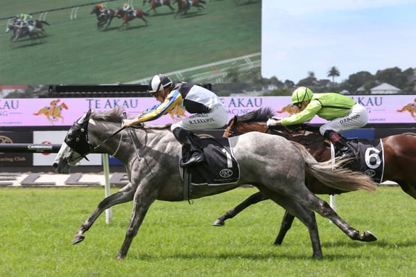 White Noise heads stable’s Derby attack