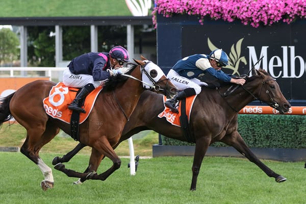 Yonce vying for four-peat