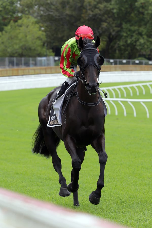 Brosnan searches sentimental Derby success