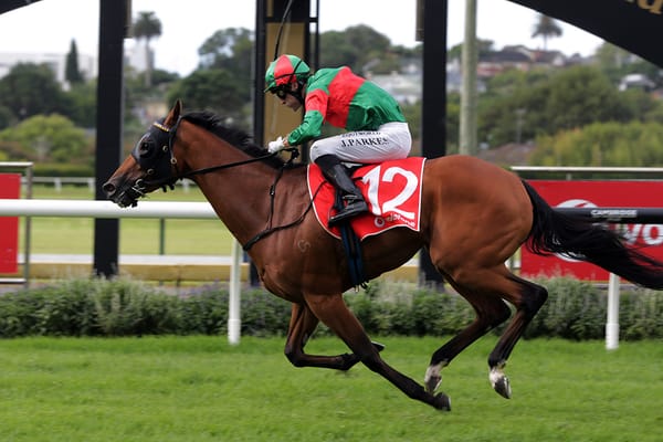 Derby winner highlights another bumper day for Curraghmore