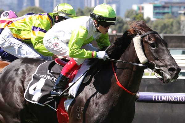 Blandford Lad back in the winner’s circle