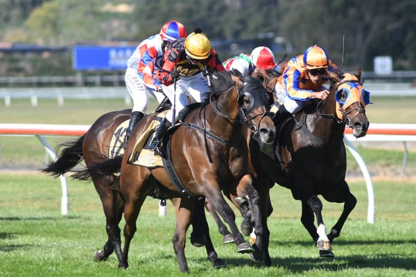 Lowry and Cullen mare answers punters prayers at Trentham