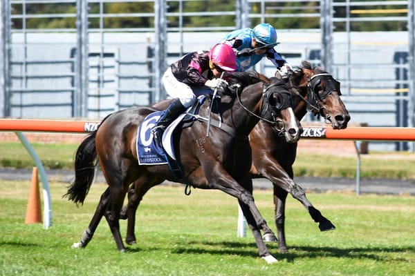 Coventina Bay on song for Bonecrusher