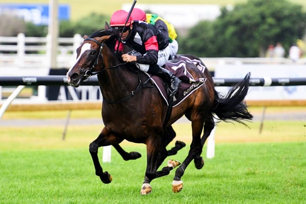 Coventina Bay in Ellerslie first for Patterson