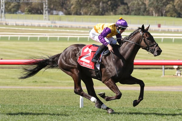 Elephant out of All-Star Mile