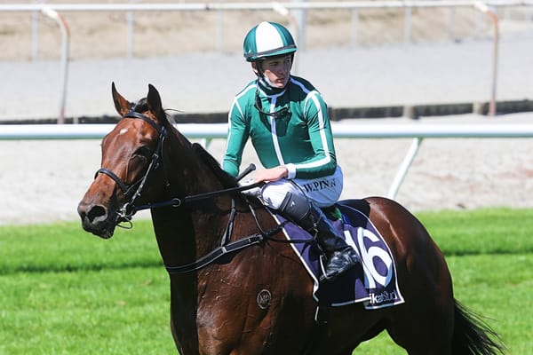 Ritchie Enraptured with promising filly