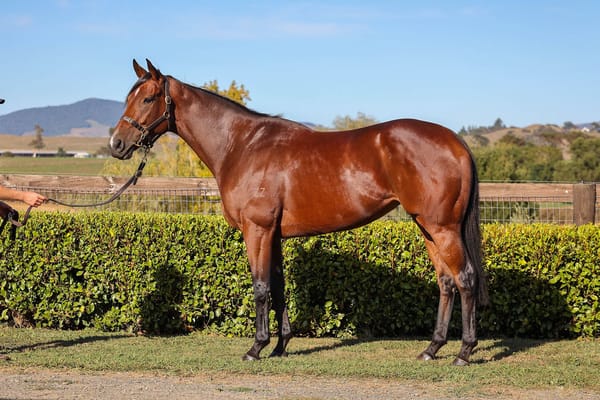 Widden secure Exaltation