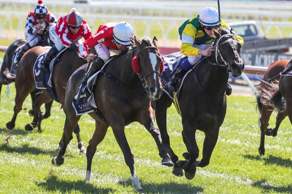 Bright future tipped for Fireglow