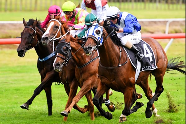 Memories of training legend to the fore at Tauranga