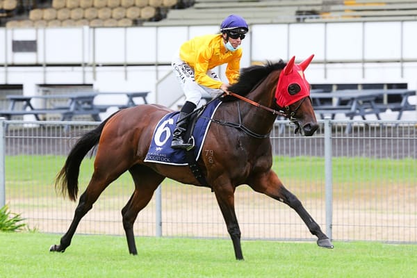 Genuine tempo key to chances of Glory Bound