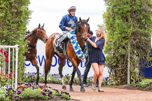 Talented Kennedy-Furlong fillies attracting interest