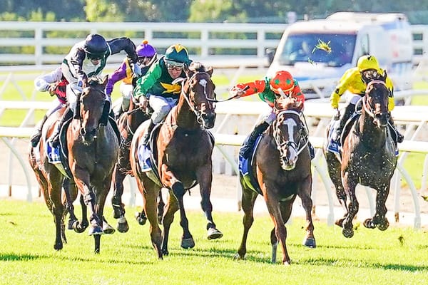 Jungle Magnate promoted Guineas winner