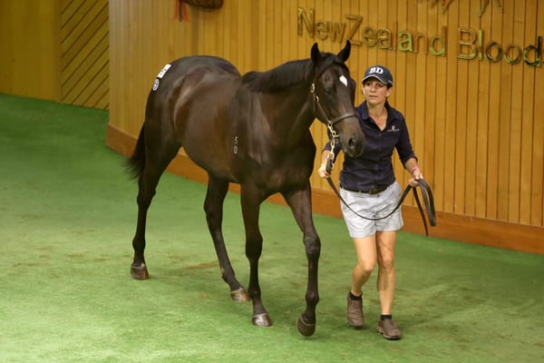 South Island success at Karaka