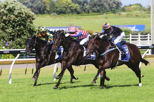 Weatherley has an eye on Sydney with Mali Ston