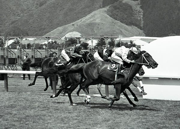 Link to Takanini lost with death of Ray Wallace