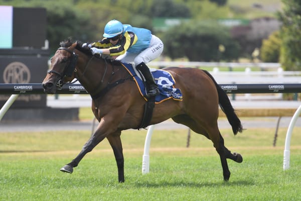 Per Incanto’s daughter a popular mare