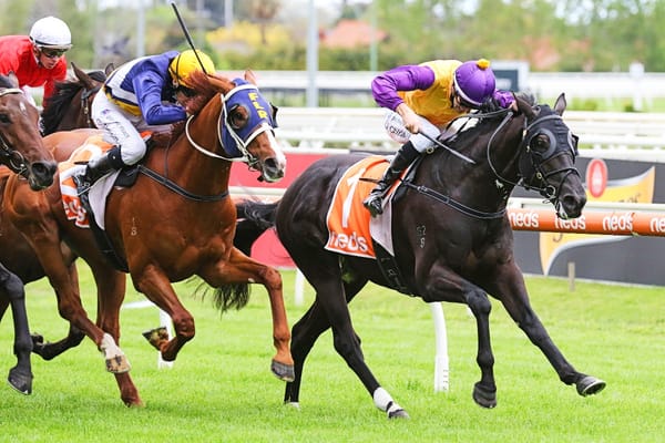 Browne looking to remedy fast-charging Rhinoceros