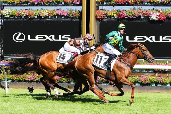 Roch ’N’ Horse to Sydney