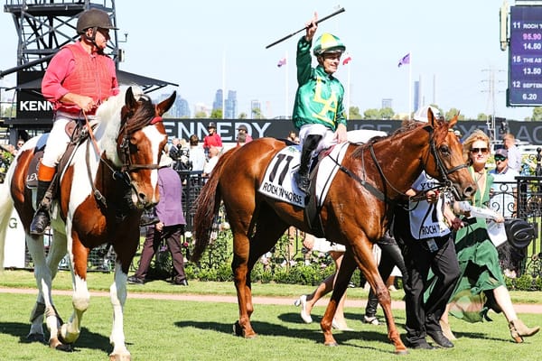 Multi-state options for Roch ‘N’ Horse