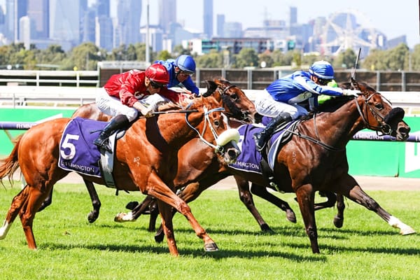 Ruthless Dame on Group One path