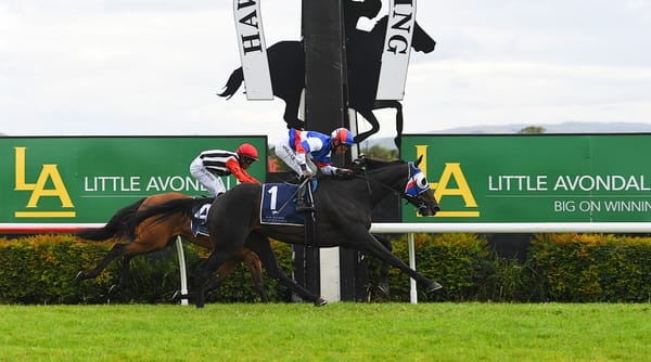 In-form filly strengthening HK connection